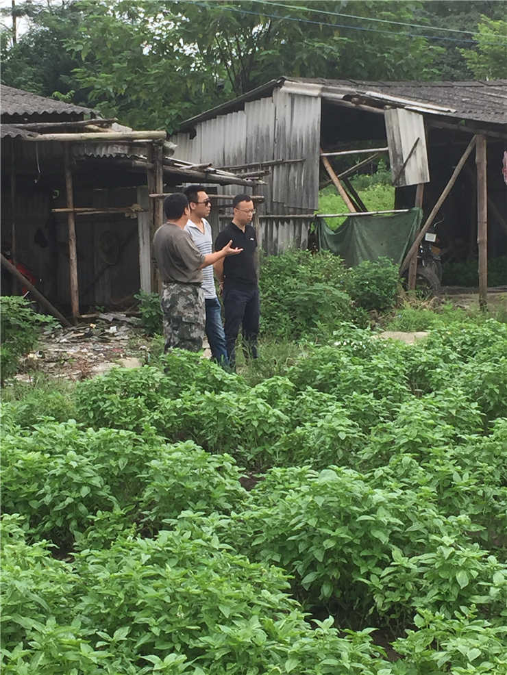 Z6·人生就是博(中国区)官方网站