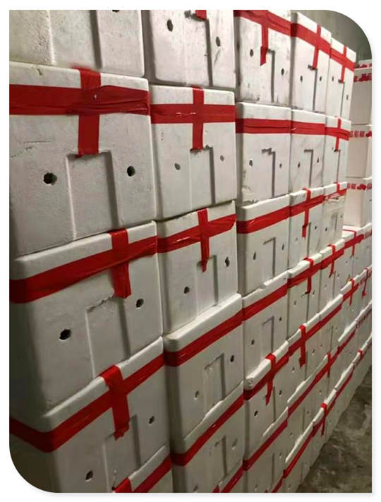 Z6·人生就是博(中国区)官方网站