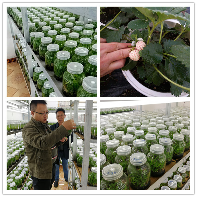 Z6·人生就是博(中国区)官方网站