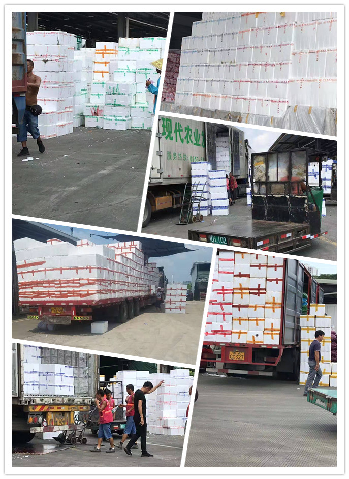 Z6·人生就是博(中国区)官方网站