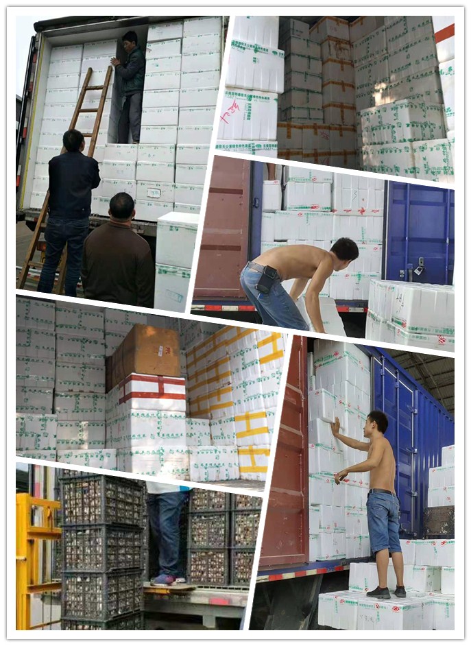 Z6·人生就是博(中国区)官方网站