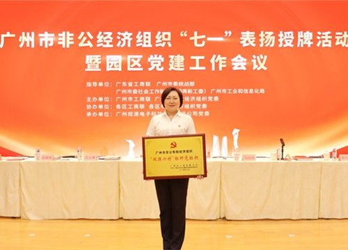 标杆引领，荣誉升级！集团党支部荣膺广州市非公有造经济组织“双强六好”标